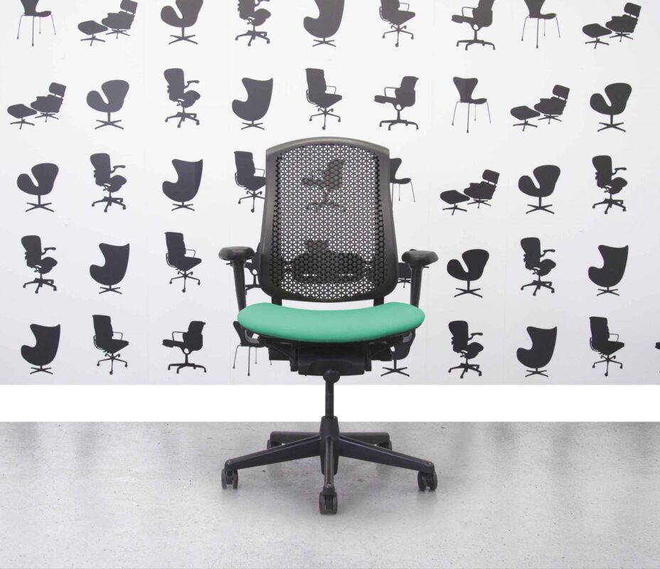 Refurbished Herman Miller Celle Chair - Campeche - YP112 - Corporate Spec
