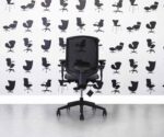Refurbished Senator Clipper - Black Frame with Lumbar - Paseo