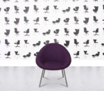 Refurbished Connection Gloss Tub Chair - Purple